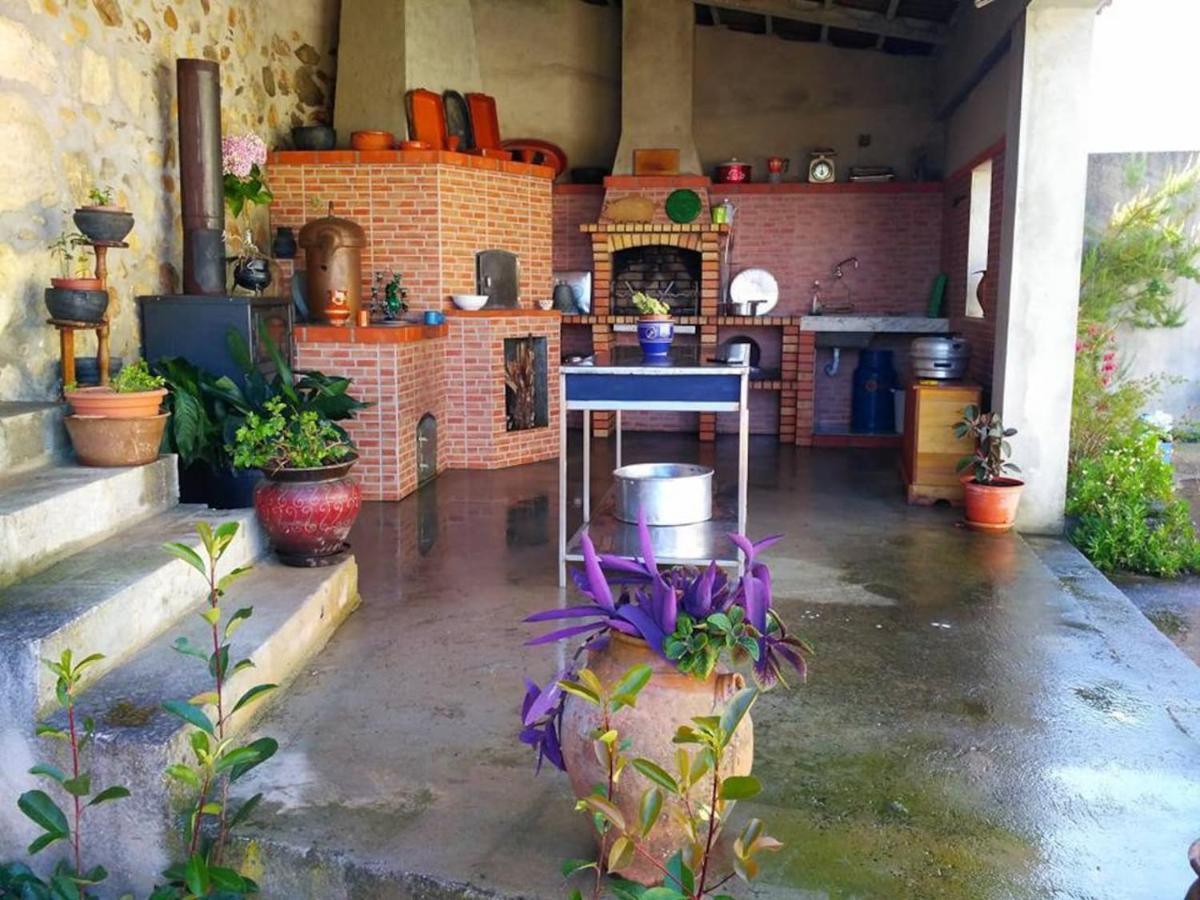 Vila Casa Aurora Penacova Exteriér fotografie